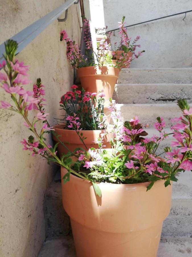 Villa La Terrasse Gignac  Exterior foto